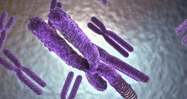 Геномын бүтэц