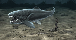 Эртний хуягт загас