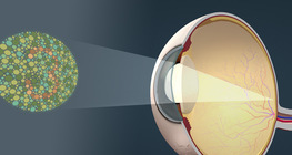 Өнгөний харалган