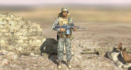 Америк усан цэрэг (XXI зууны эхэнд)