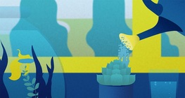 Miért sós a tengervíz?