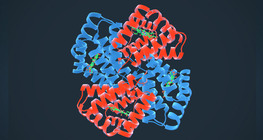 Hemoglobin