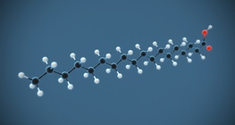 Стеарины хүчил (октадеканоик хүчил (C₁₇H₃₅COOH)