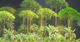 Ойн үе давхарга