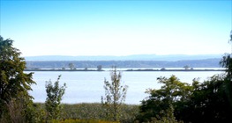 A Kis-Balaton élővilága