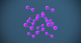 Иодын талст