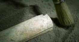 Egy régész munkája