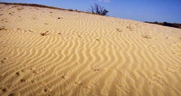 A homokbuckás Kiskunság