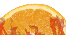 Vatrena kora naranče