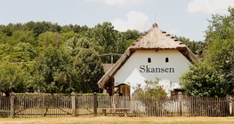 Szabadtéri néprajzi múzeum