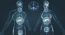 Дотоод шүүрлийн тогтолцоо