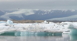 Djelovanje ledenjaka