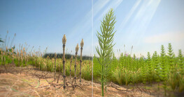 Хээрийн шивлээ