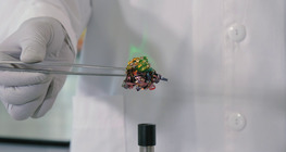 Alkohol oxidációja