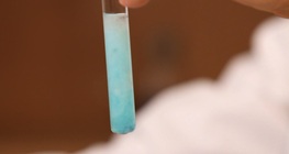 La dénaturation des protéines