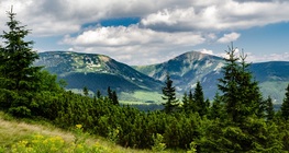 Természetvédelmi terület