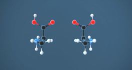 Оптик изомер