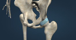 үений төрлүүд