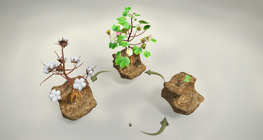 Даавуун материалыг юугаар хийдэг вэ?