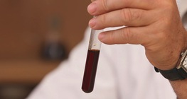 How does pancreatic juice break down starch?