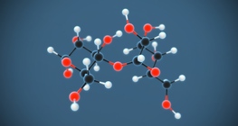 Мальтоз (амуу соёолжны сахар) (C₁₂H₂₂O₁₁)