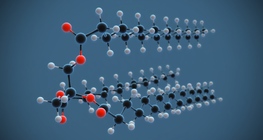 Өөхний молекул