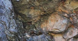 Az úrkúti őskarszt