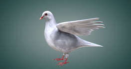 Өдний төрлүүд