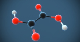 Хурган чихний хүчил (COOH)₂