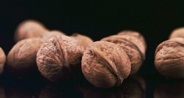 Common walnut