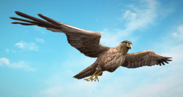 Намгийн хулд