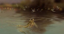 Урт сүүлт өдөрч