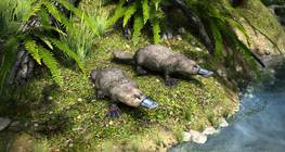 Нугасан хошуут