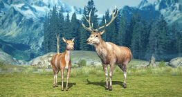 Халиун буга