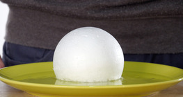 Le styrofoam qui disparaît