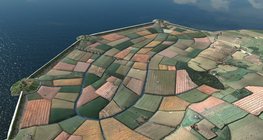 Нидерландад газар боловсруулсан нь, XVII зуун