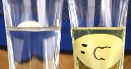 Lebeg vagy elsüllyed