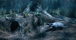 Европ дорго