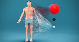 Хүний бие юунаас тогтдог вэ?