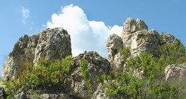 A Tihanyi-félsziget természetföldrajzi adottságai