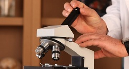 Optical microscopes
