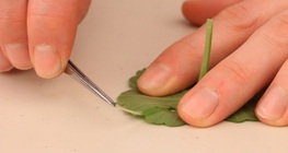 Créer un échantillon de tissu