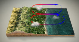 Муссон салхины тогтолцоо