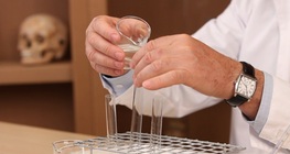 Modeliranje probave proteina u želucu