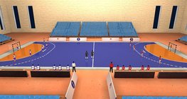 Гандболын стадион