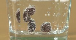 A mazsola és a Titanic esete