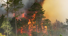 Brzo i sporo sagorijevanje