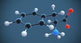 Фенилаланин