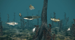 Цэнгэг усны загас