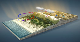 Орон нутгийн салхи